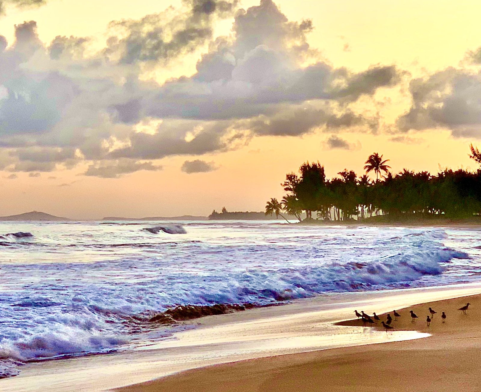 Beach Sunrise at Rainforest Beach Condo