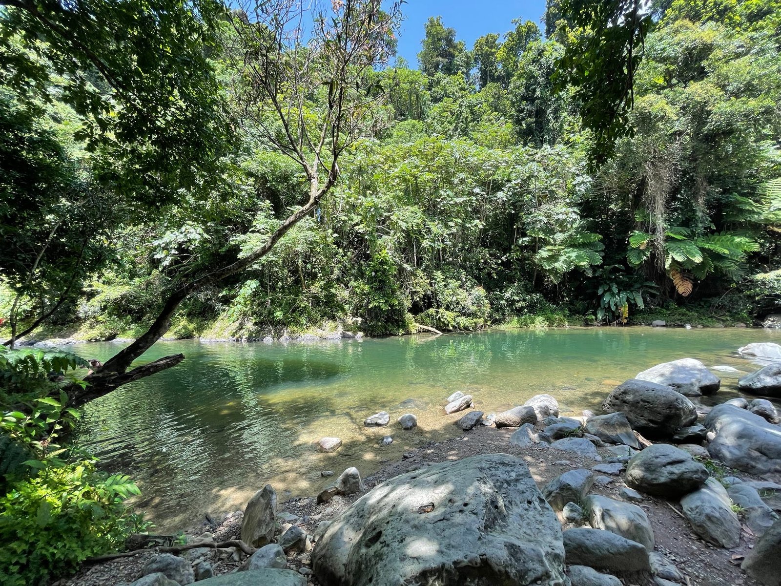 Tropical Lagoons near Rainforest Beach Condo