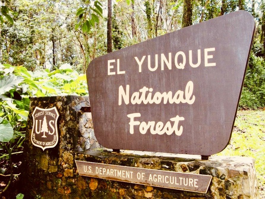 Explore El Yunque Near Rainforest Beach Condo  