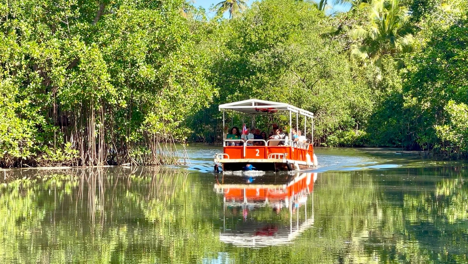 Tropical River Eco Tour near Rainforest Beach Condo