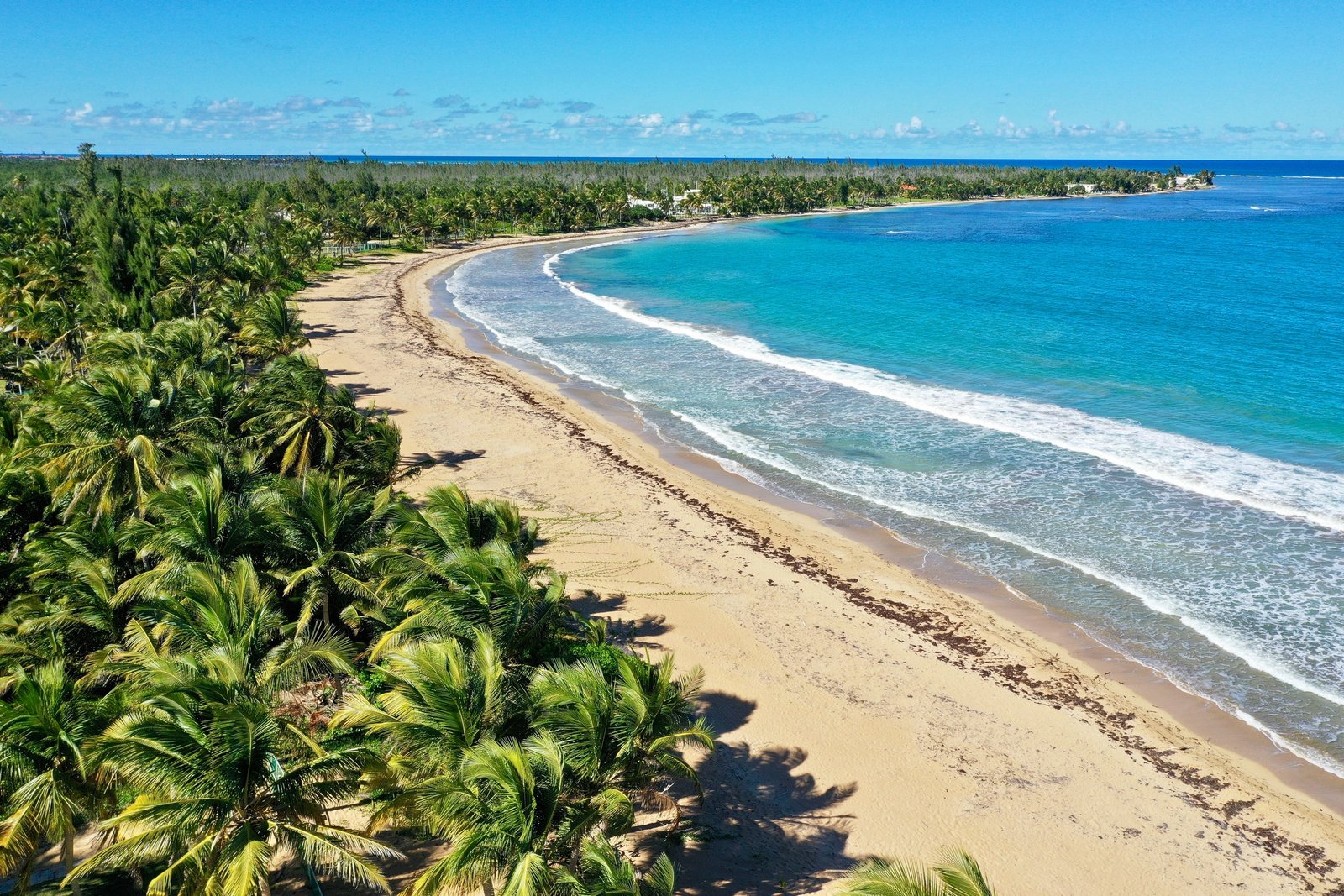 Beautiful Beach Near Rainforest Beach Condo