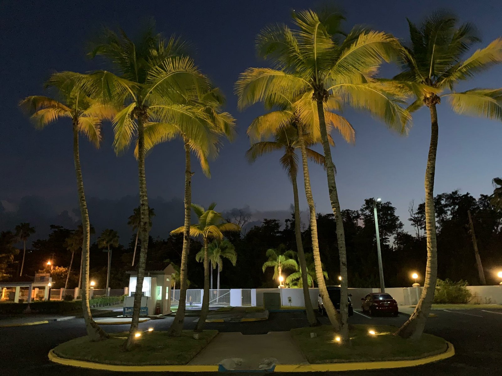 Tropical nights at Rainforest Beach Condo
