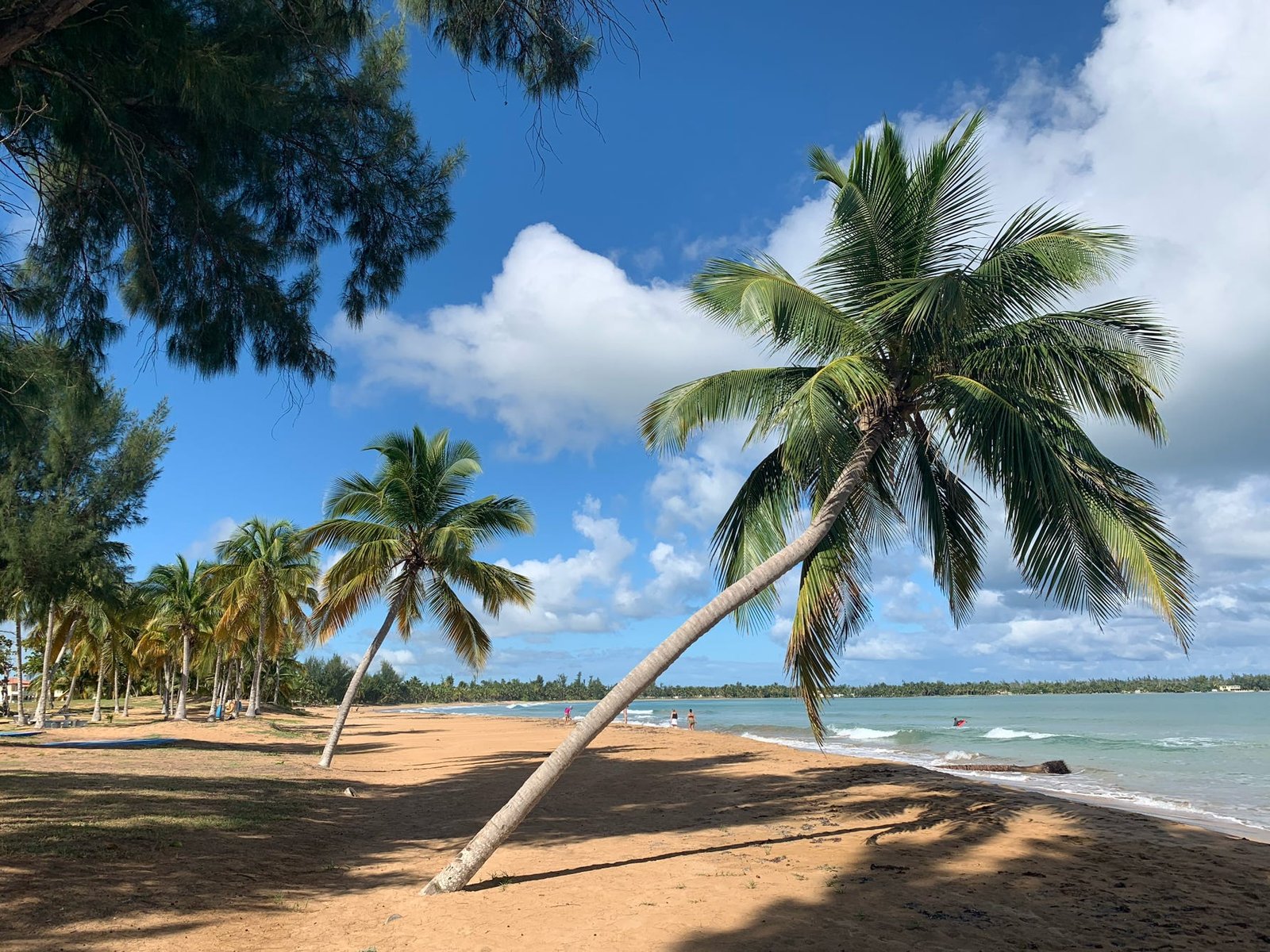 Steps to Rainforest Beach  