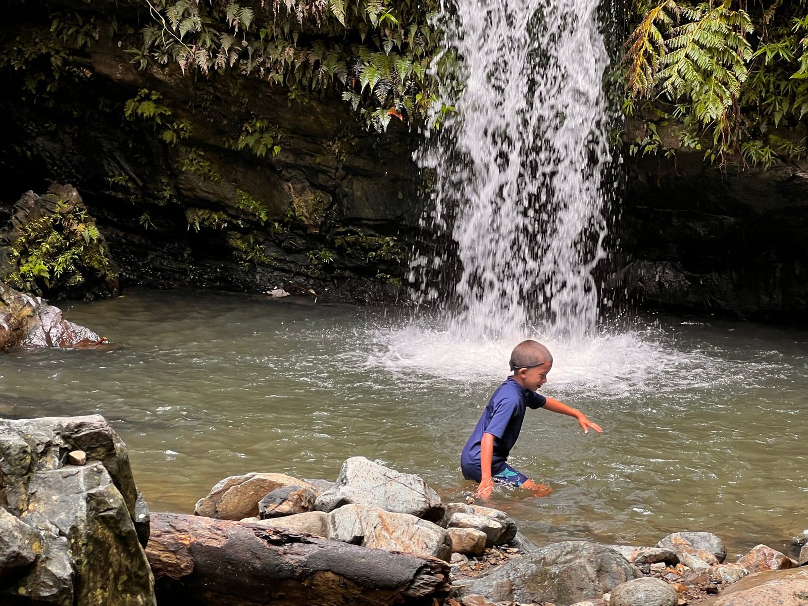 Tropical Waterfalls near Rainforest Beach Condo