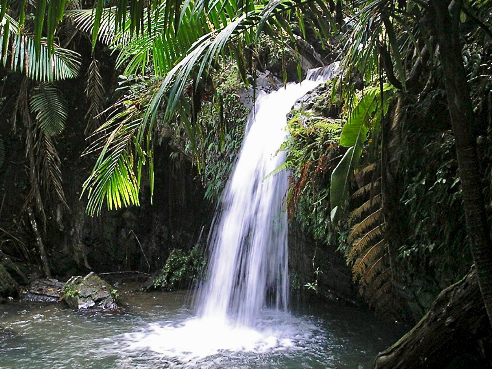 Tropical Rainforest Falls near Rainforest Beach Condo