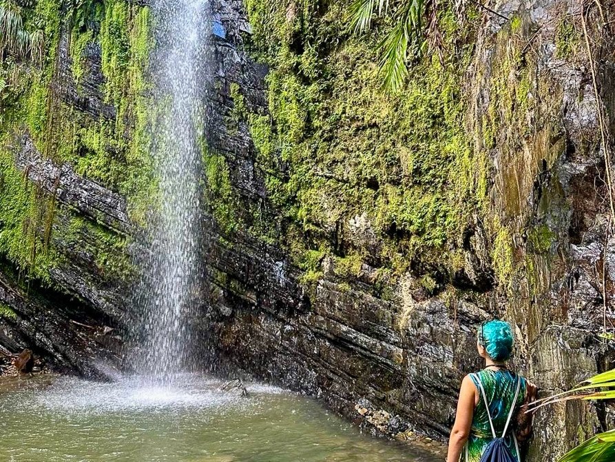 Hidden Waterfalls Near Rainforest Beach Condo