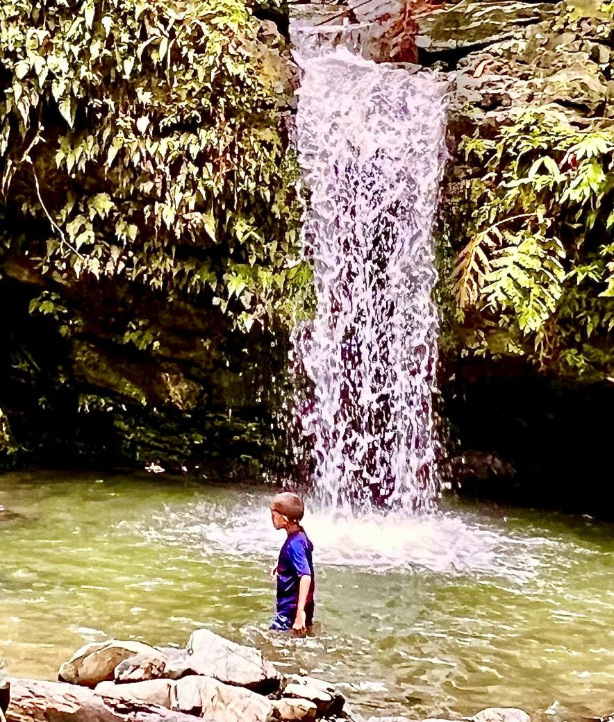 Minutes from Rainforest Beach Condo