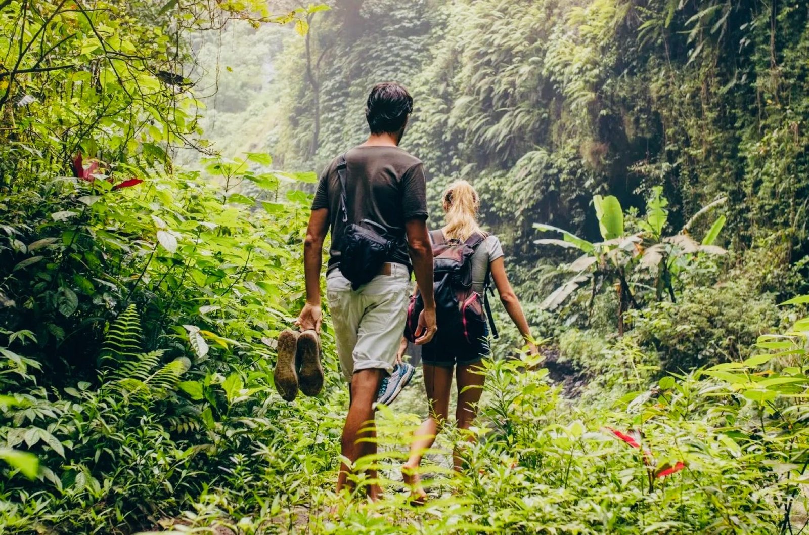 El Yunque Rainforest