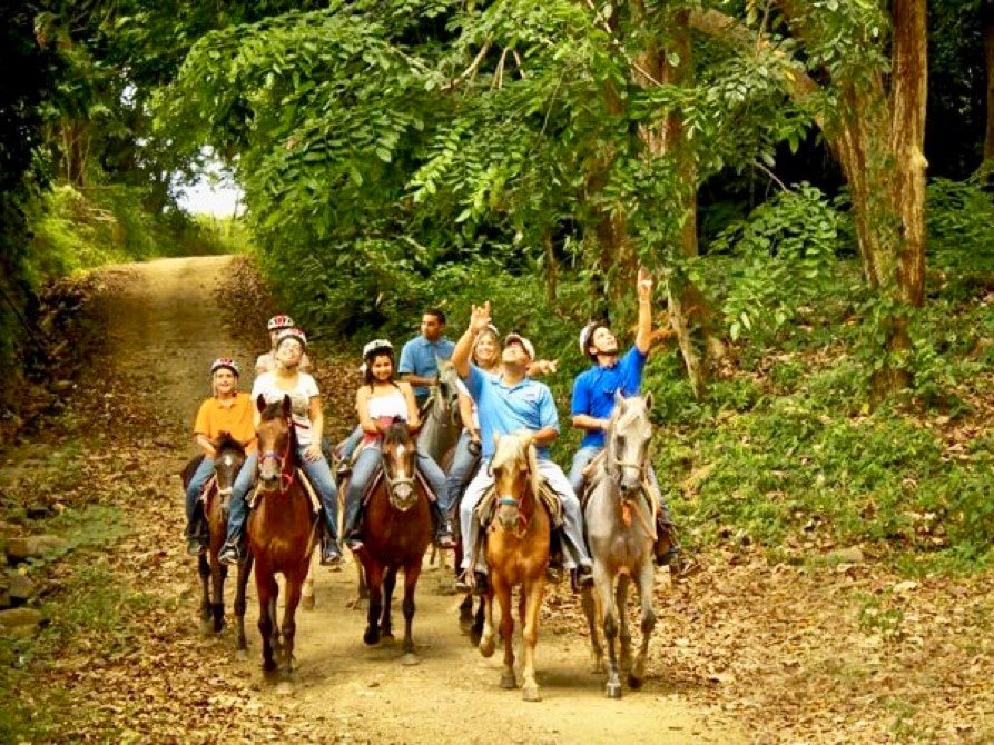 Horseback Riding Near Rainforest Beach Condo