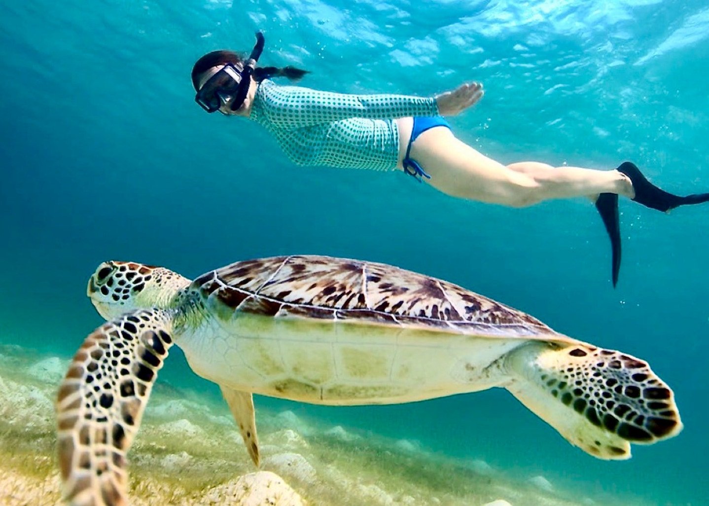 Beach And Reef diving at Rainforest Beach Condo