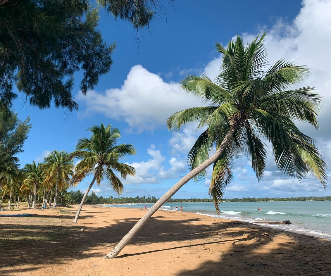 At Rainforest Beach Condo 